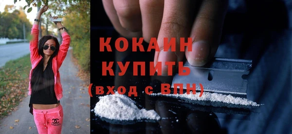 твердый Алексин