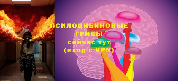 твердый Алексин