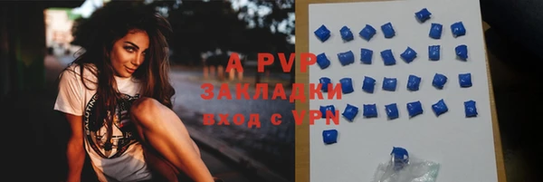 гидра Алексеевка