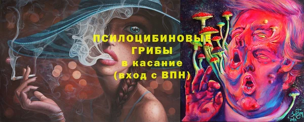 твердый Алексин