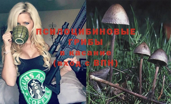 твердый Алексин
