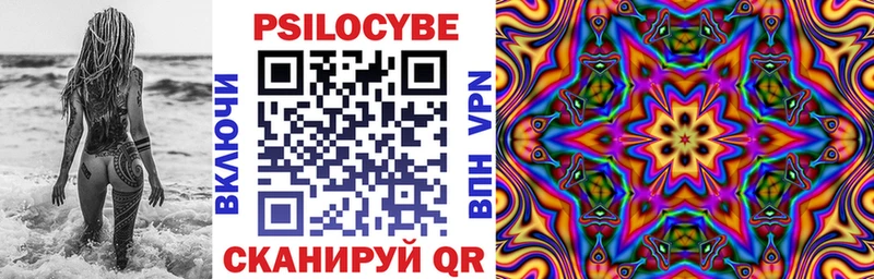 Псилоцибиновые грибы Cubensis  Лагань 